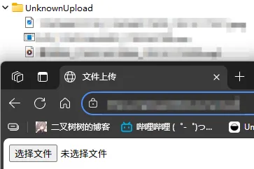 自建一个匿名文件上传终结点